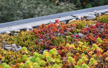 the cost of Braithwaite green roof installation